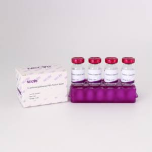 Suero de control de antígeno de aglutinación Salmonella Pullorum/Gallinarum para pruebas avícolas - Product Image 3