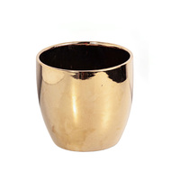 Petits pots de fleurs en céramique de luxe avec galvanoplastie émaillée pour pots de plantes succulentes d'intérieur pour la maison et le jardin