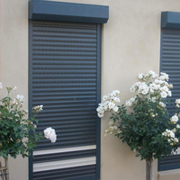 Volet roulant en aluminium pour fenêtre et porte, pare-soleil, rideau électrique manuel, fenêtres à rouleaux personnalisées