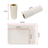 Film DTF pour impression par transfert thermique, rouleau de film PET 60 cm double face, instantané/chaud/froid, imprimante jet d'encre, film de transfert PET DTF