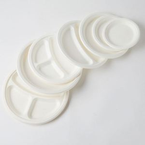 Assiettes jetables biodégradables en bagasse de canne à sucre pour les fêtes - Product Image 3