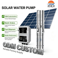 Pompe solaire submersible AC/DC robuste avec fonctionnement sur batterie MPPT pour l'approvisionnement en eau d'urgence, accessoires à forte rentabilité, certification CE facile à obtenir