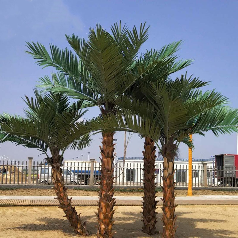 Palmera resistente al sol para exteriores/m