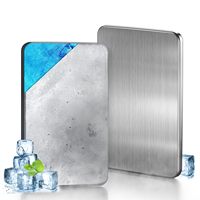 Ensemble de glacières isothermes en acier inoxydable (2/4/6/8/10 pièces) avec rétention de glace, congélation rapide et conception durable - Boîtes à lunch pour usage extérieur