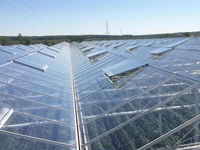 Ultraklares Eisenarmes Gehärtetes Glas - Industrielles Landwirtschaftliches Gewächshaus Außenbau-Fenster Flaches Solides Design