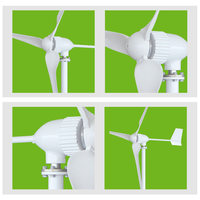 Éolienne compacte 800W/1000W et système hybride solaire-éolien DC 24V/48V vers AC 220V pour usage domestique et extérieur, fabriqué en Chine