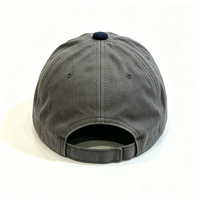 Gorra de béisbol de 6 paneles de algodón lavado bicolor con visera de pana, letras bordadas 3D ACE, estilo Dad Hat, visera curva vintage, ajustable, casual