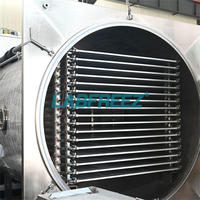 Productietype 10kg tot 2000kg Vacuüm Lyofilisator Voedsel Fruit Vriesdroogmachine