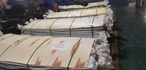 Con dấu cửa container thay thế, con dấu thời tiết cao su EPDM cấp biển cho container hàng hóa - Product Image 4