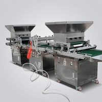 Machine automatique de semis en plateau pour l'agriculture – Puissante semoir à plateau pour graines – Machine de culture de semis de type seringue
