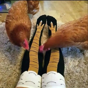 <span class=keywords><strong>Calcetines</strong></span> Divertidos <span class=keywords><strong>de</strong></span> Pierna <span class=keywords><strong>de</strong></span> <span class=keywords><strong>Pollo</strong></span>, <span class=keywords><strong>Calcetines</strong></span> Altos hasta el Muslo, <span class=keywords><strong>Calcetines</strong></span> Novedosos con Patas <span class=keywords><strong>de</strong></span> Animales - Product Image 2