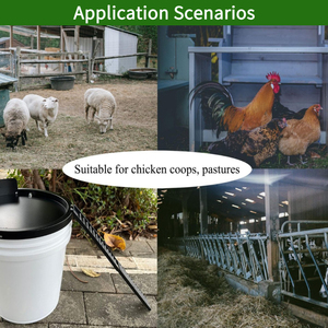 Piège à rats en fer massif pour seaux d'eau de 5 gallons, écologique, étanche, déclencheur hautement sensible pour fermes/entrepôts - Product Image 6