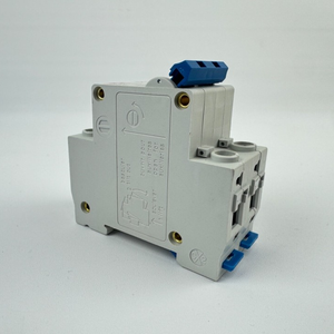 Dz47le-32 | Module de commande PLC pour la détection des fuites et l'automatisation dans les systèmes électriques industriels et civils - Product Image 2