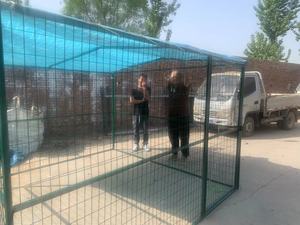 Brand New Best Outdoor <strong>Dog</strong> <strong>Kennel</strong> Australia Custom <strong>Dog</strong> <strong>Kennel</strong> Green Coated <strong>Dog</strong> <strong>Kennel</strong> Dimensions - Product Image 3