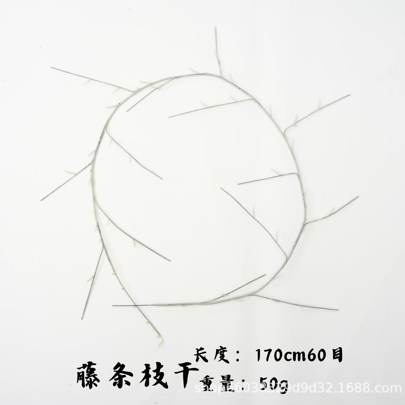 หวายสีขาว 170