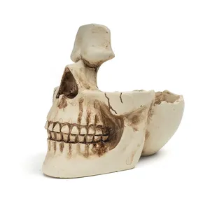 Regalo Personalizado de Halloween, Estatua de <span class=keywords><strong>Calavera</strong></span> de Resina, Adorno Artesanal, Decoración de Jardín, <span class=keywords><strong>Maceta</strong></span> para Plantas Suculentas - Product Image 2