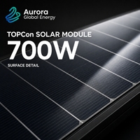 Panneau solaire monocristallin 700W à haut rendement et faible dégradation pour les marchés mondiaux