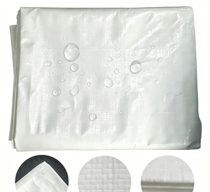 Bâche de <span class=keywords><strong>sol</strong></span> robuste à prix d'usine avec œillets, bâche PE renforcée, bâche polyéthylène imperméable pour tente de camping - Product Image 1