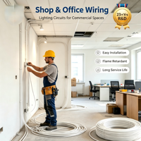 Cable de PVC de doble núcleo ZC-BVV 2*2.5mm2, cable de cobre sólido sin oxígeno, IP44 300/500V, retardante de llama, para uso doméstico y en edificios.