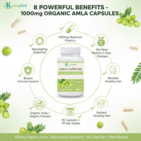 Complément alimentaire à base d'Amla, complément naturel de vitamine C, extrait d'Amalaki, éclat de la peau et croissance des cheveux, capsules d'Amla