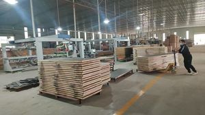 Porte in Legno Moderne per Interni ed Ingressi, Vendita Diretta dalla Fabbrica, Molteplici Opzioni di Colore - Product Image 6