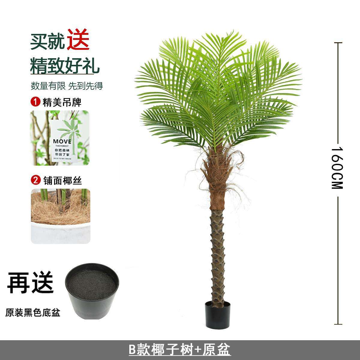 Nouveau style de cocotier de 160 cm