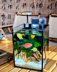 Kit <span class=keywords><strong>Acquario</strong></span> da Scrivania in Vetro Ultra-Trasparente con Filtro, Luce LED, Ecologico, a Risparmio Energetico, Adatto ai Principianti, Tutto in Uno - Product Image 6