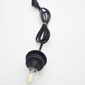 Outdoor Ceiling Light Led Bulb <b>With</b> <b>Plug</b> And <b>Switch</b> For Lantern Decoration Lighting - Product Image 3
