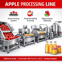 Línea de Producción de Jugos Multifuncional, Máquina Automática Personalizada para Hacer Jugos de Naranja, Manzana, Mango y Piña