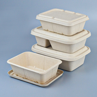 Contenant alimentaire jetable biodégradable en pulpe de canne à sucre, boîte à lunch, bento écologique, pour chewing-gum et chips de pommes de terre