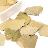 Teh Tradisional Cina Baru Harga Terjangkau Herbal Alami Daun Ginkgo Kering Ekstrak Sehat Daun Herbal