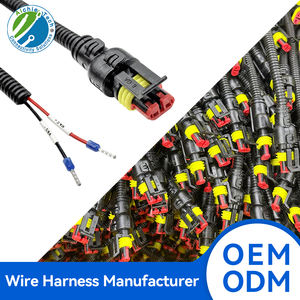 Arnés de conector de cable de manga sellada automotriz de 2 pines Universal OEM ODM Factory TE Superseal de 2 pines a través de cables moldeados - Product Image 2