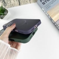 Neuestes Design 2 in 1 PC TPU Laser feder muster Design Telefon abdeckung, Magnetic Wireless Charging Phone Case für IPhone 16