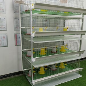 Jaula de Cría de Pollos de 2 Puertas Tipo H, Galvanizada, de 4 Niveles, Nueva, de Alta Calidad, para Granjas Comerciales en Nigeria - Product Image 1