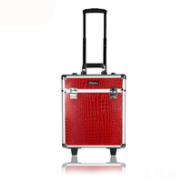 Malette de maquillage chariot professionnelle Extra Large,, boîte de maquillage, organisateur de beauté, avec plateaux et roues, pour artiste