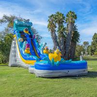 Toboggan aquatique gonflable de qualité commerciale sur le thème du canard avec piscine pour fêtes de jardin, locations d'événements et parcs