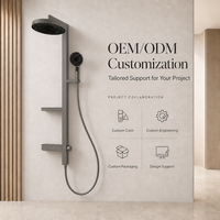 Système de douche pluie gris anthracite en acier inoxydable avec douchette à main, étagère de rangement intégrée, colonne de douche murale pour usage hôtelier