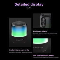 SC-01 pour haut-parleur 5.1 en plastique, sortie 60W, éclairage LED, affichage plein écran à 360 degrés, batterie 5000-10000mAh pour la maison