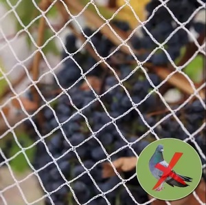 3m * 50m 40-60gsm nông nghiệp chống <span class=keywords><strong>Bird</strong></span> Net cho ngăn chặn trái cây từ chim và côn trùng - Product Image 4