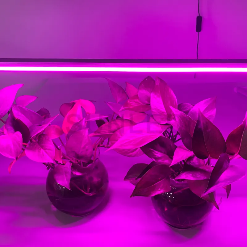 Portable intérieur serre LED plante lumière spectre complet LED bande lumineuse avec minuterie corps en aluminium IP67 SMD LED puce croissance des plantes