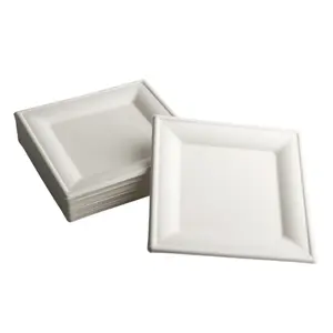 Assiettes carrées jetables en bagasse 100 % biodégradables et compostables pour l'emballage alimentaire à emporter et la restauration par Naturalcart - Product Image 1