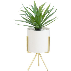 Cadre en fer simple porte-fleurs en céramique hydroponique plante verte Ins Style nordique en fer forgé charnu <span class=keywords><strong>Pot</strong></span> de fleur - Product Image 5