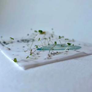 Papier à graines personnalisé écologique pour impression, motif Cerf de la forêt, format A4, avec logo de votre marque - Product Image 1