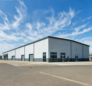Edificio de Acero Multinivel Personalizado, Almacén Industrial Prefabricado de Ensamblaje Rápido que Ahorra Espacio con Diseño Flexible - Product Image 1