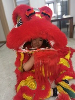 Costume de danse du lion authentique pour adultes et adolescents, en laine de haute qualité, avec lanterne en peluche de dragon, pour spectacle de danse du lion chinoise