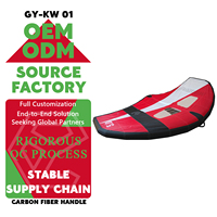 OEM Red Wing Foil Inflatable Wing Surf 5M Poignée en carbone Conception durable pour la pratique du freeride GY-KW 01 3.4kg Lacs Rivières Océan