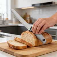 Ensemble de couteaux de chef en acier inoxydable avec logo personnalisé, 5 pièces, couteau de cuisine avec manche en PP, lame en acier inoxydable 3Cr13 pour couper