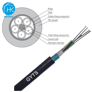 <span class=keywords><strong>Câble</strong></span> de <span class=keywords><strong>fibre</strong></span> <span class=keywords><strong>optique</strong></span> G652D personnalisé, 4 8 96 cœurs, 10 pièces, pour l'<span class=keywords><strong>extérieur</strong></span>, cordon mode unique - Product Image 4