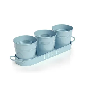 Ensemble de Pots pour plantes, 3 pièces avec plateau, éponge bleue, seau à fleurs en fer galvanisé, couleur