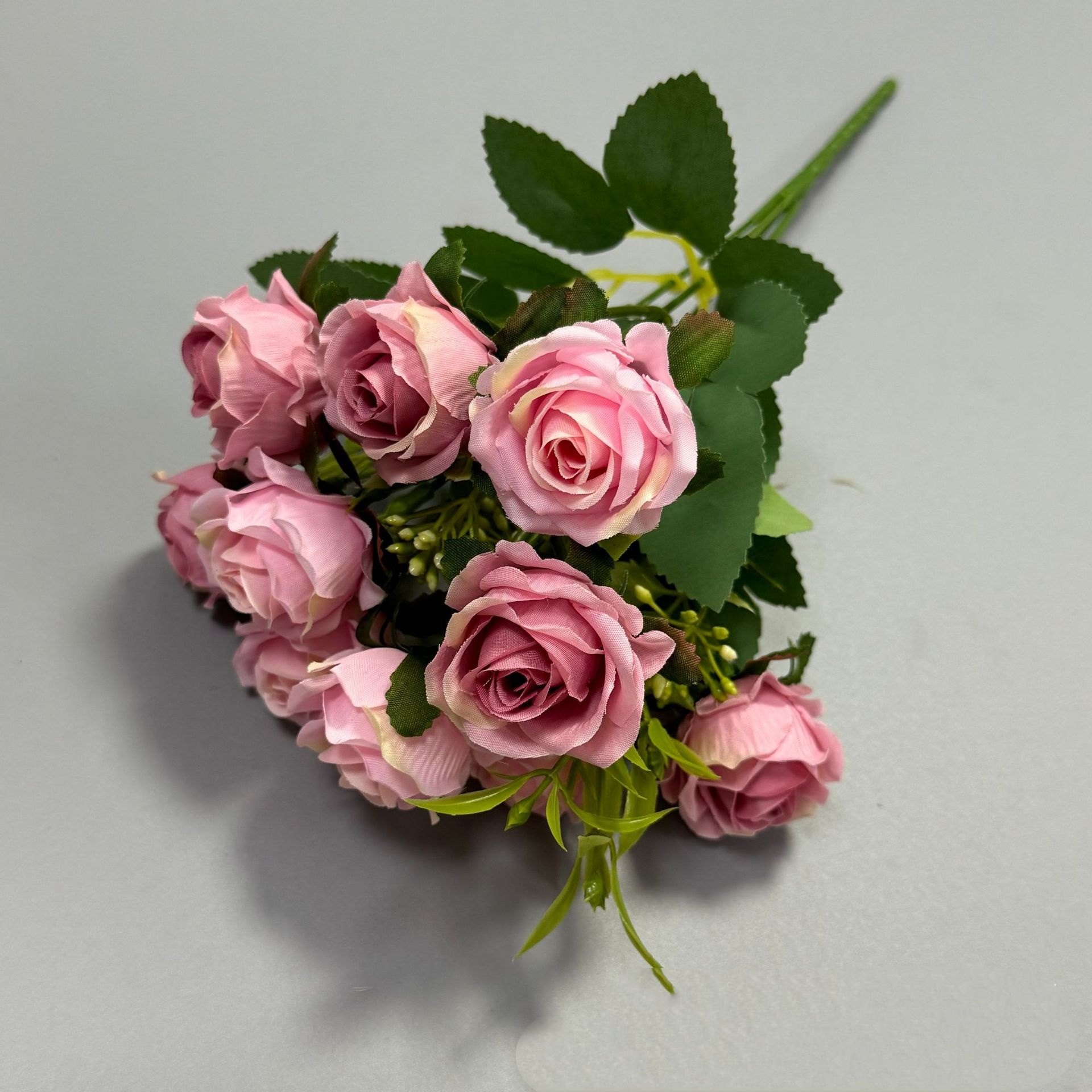 Pourpre